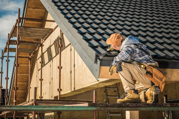 Best Roof Maintenance and Cleaning  in Wells, NV