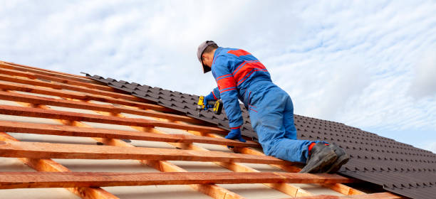 Best Roof Inspection  in Wells, NV